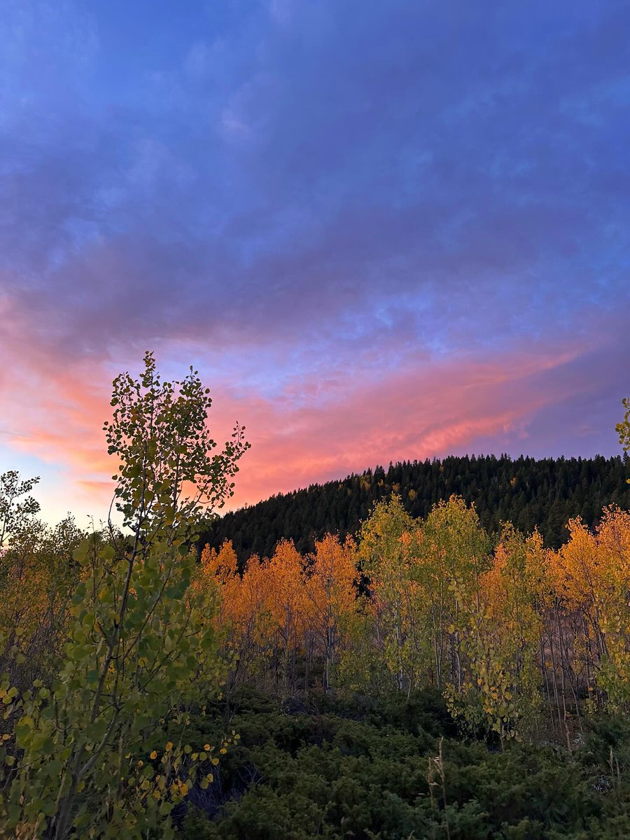 bouldercolorado's tweet image. Autumn sky in Boulder 🧡

Photo shared by adventurewithc (IG)