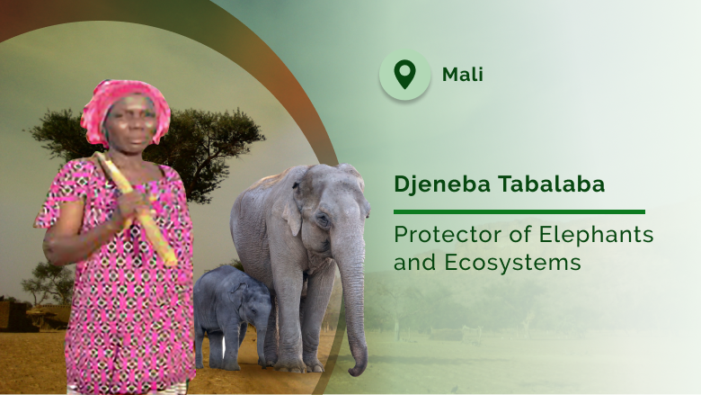 WBG_Environment's tweet photo. Local stories with global resonance. Meet the community champions driving co-existence with wildlife and nature with support from the #GlobalWildlifeProgram.
https://t.co/vI47Qr87Tn
#WorldAnimalDay @theGEF https://t.co/tXMJNwH1jM