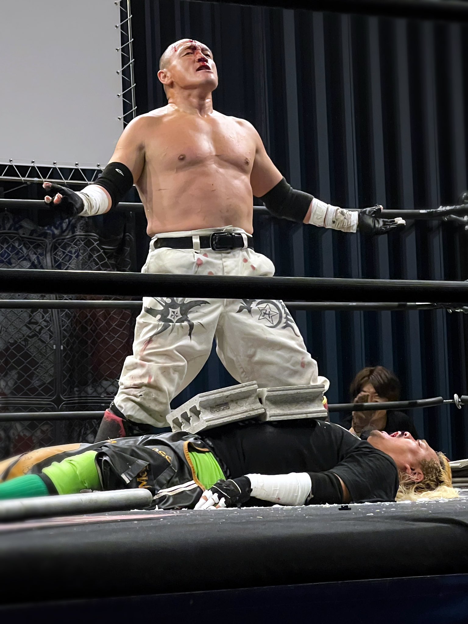 かめ！ページです。 かめ (@kamesanyama) / X