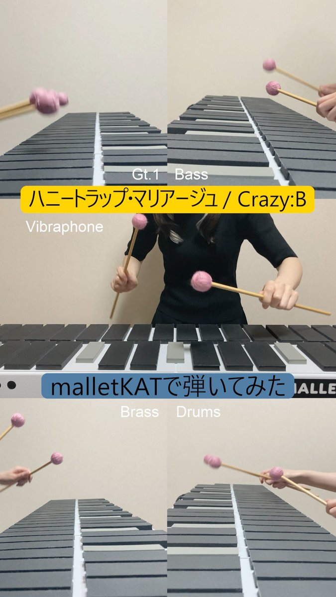 🐝🥂ショート動画公開 🥂🐝

Crazy:Bの「ハニートラップ・マリアージュ」
をmalletKATで演奏しました🎹

▼YouTube shorts
youtube.com/shorts/L6Jqdmn…

ニキ誕生日おめでとうー！🎉🎂🩶

#椎名ニキ誕生祭2025 #malletKAT #電子マリンバ #弾いてみた