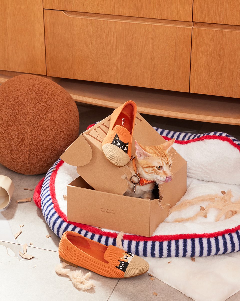 vivaia_official's tweet image. Looks like my cat found some new playmates, or secretly wants to steal my shoes.😼👟

reurl.cc/EQdG00

#VIVAIA #VIVAIAAudrey #Pawrent #ShoeTheftAlert