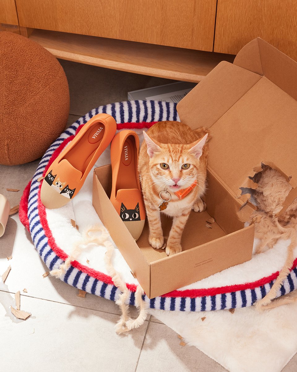 vivaia_official's tweet image. Looks like my cat found some new playmates, or secretly wants to steal my shoes.😼👟

reurl.cc/EQdG00

#VIVAIA #VIVAIAAudrey #Pawrent #ShoeTheftAlert