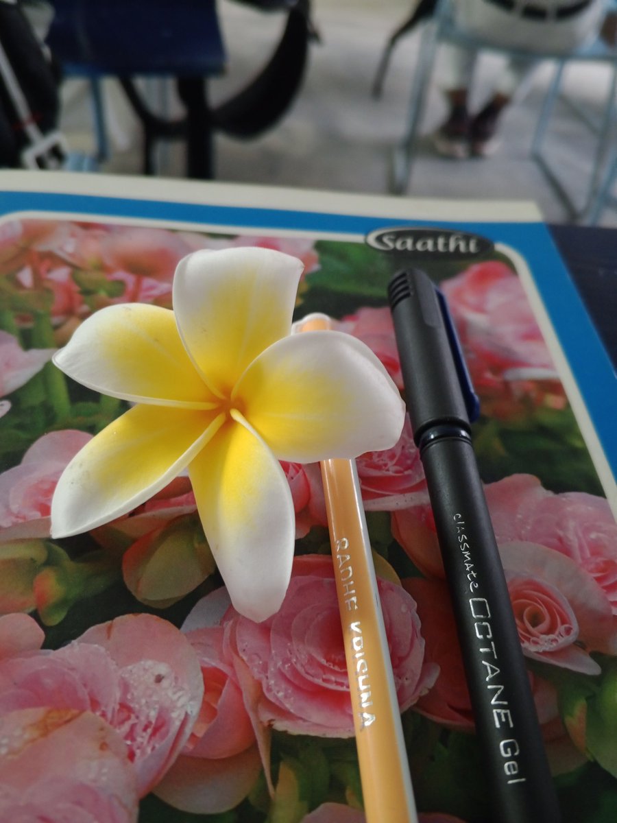 Happiness blooms from within 😊💛