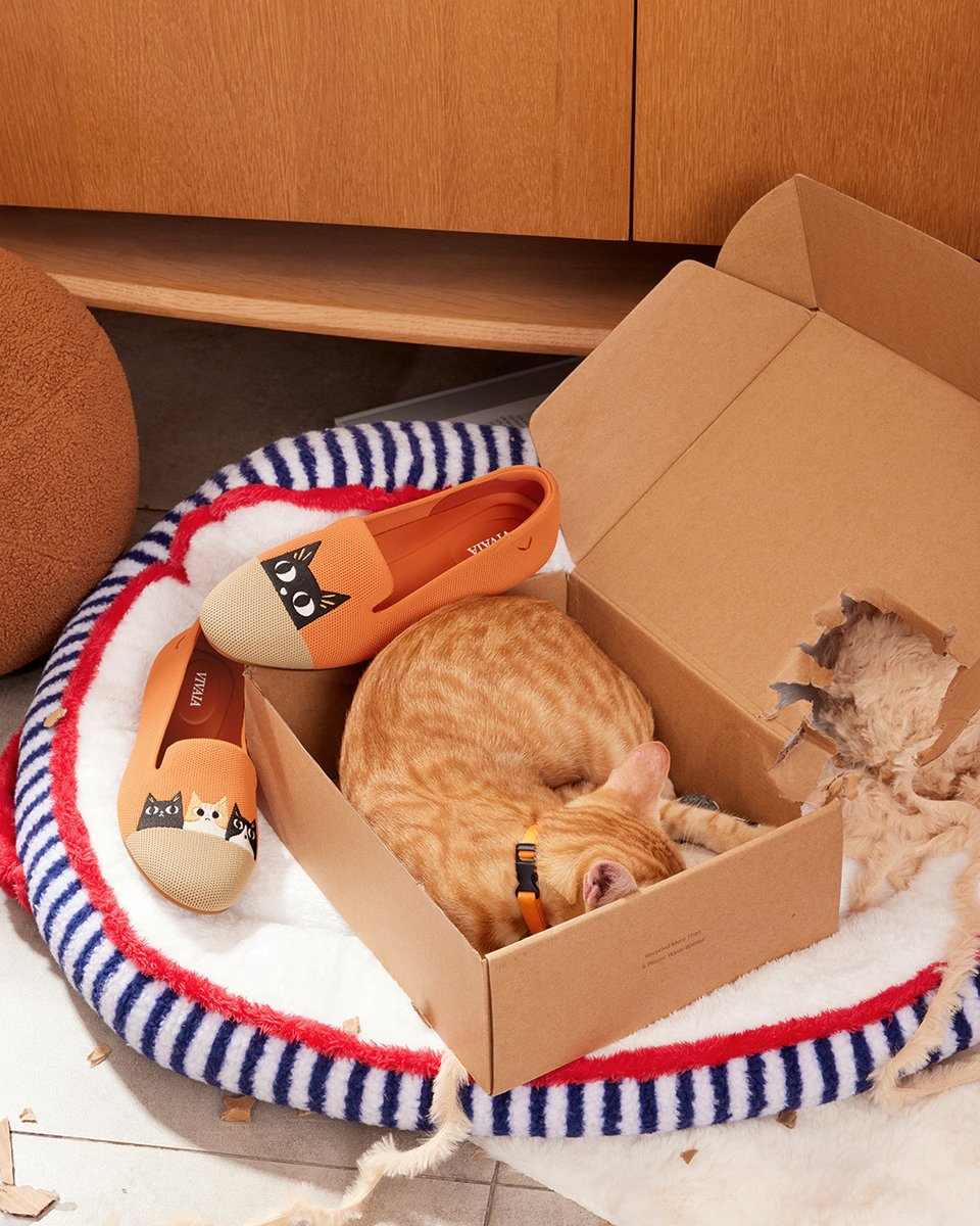 vivaia_official's tweet image. Looks like my cat found some new playmates, or secretly wants to steal my shoes.😼👟

reurl.cc/EQdG00

#VIVAIA #VIVAIAAudrey #Pawrent #ShoeTheftAlert