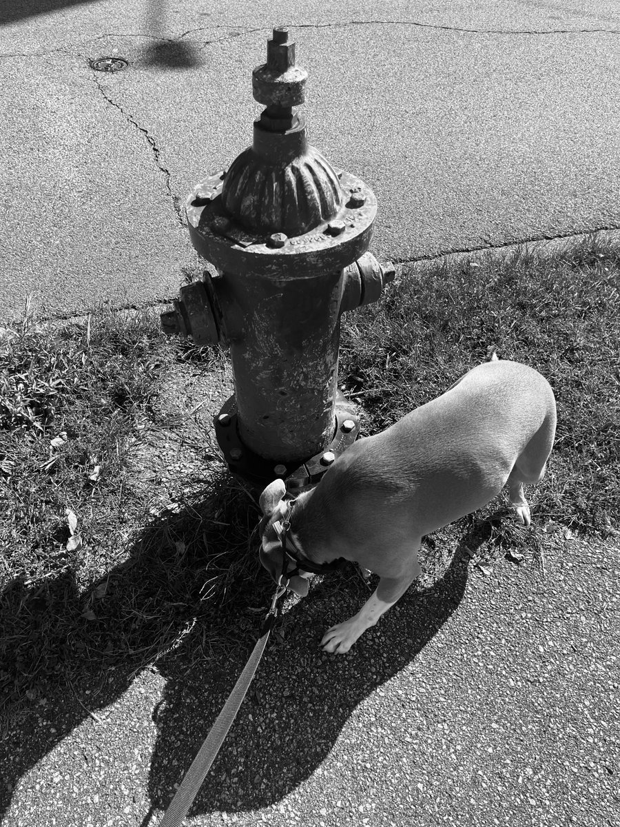 She needs to inspect every last leaf and no, she’s not above stereotypes either