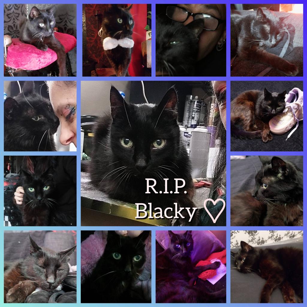 My beautiful love

Good night, my precious ♡

Love you forever