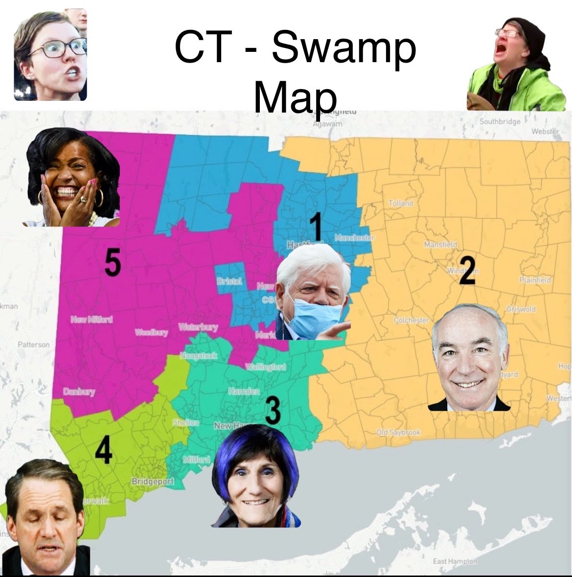 Just a reminder…drain the CT swamp