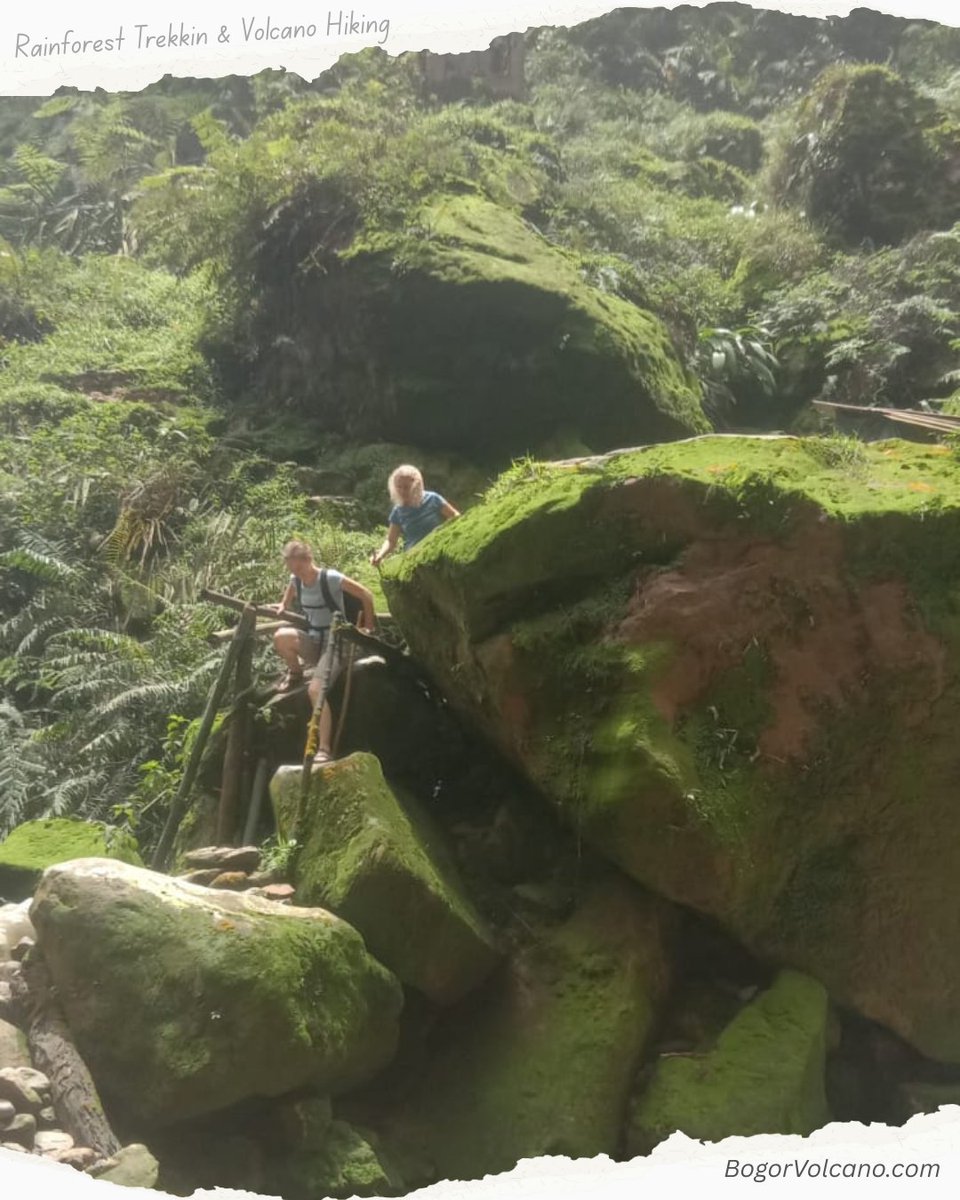GuideRidwan's tweet photo. Twee reizigsters. Eén berg.
Regenwoud, krater, watervallen, kampvuur — en zonsopkomst vanuit hun tent 🌋
Puur geluk in het hart van Bogor 🌿

Ontdek jouw vrijheid: https://t.co/F9bqjkYnja

#IndonesiëReis #JavaAvontuur #RidwanGuide #VulkaanHike https://t.co/q2nRWYBZVb