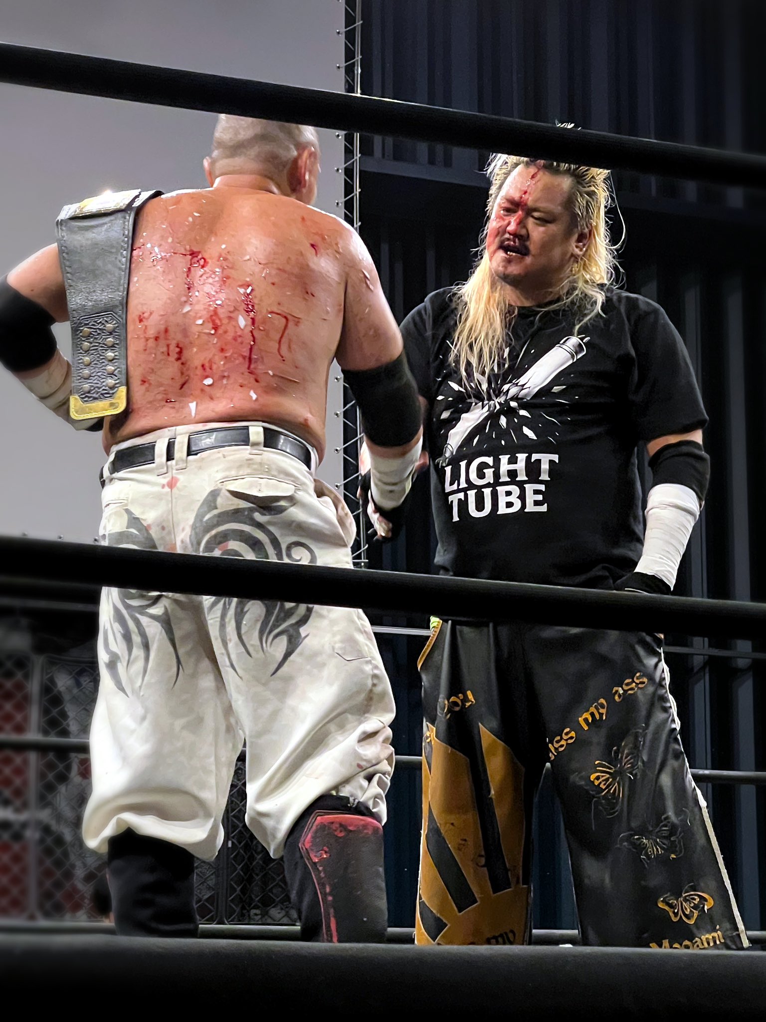 かめ！ページです。 かめ (@kamesanyama) / X