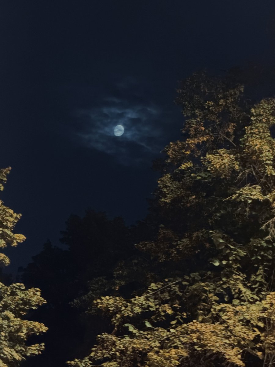 [#제이든]
까만 밤 보내🖤

#ALL_H_OURS #올아워즈
#XAYDEN #제이든