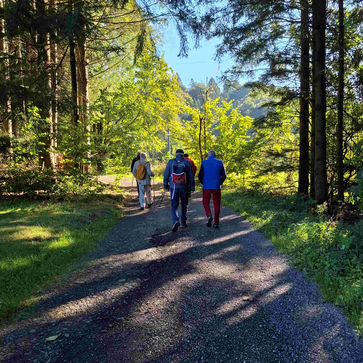 HSderSchreiber's tweet photo. Wanderung auf dem #Hotzenwald. Hier ein Bild vom #Schuckweiher. Einige Sträucher und Bäume hatten schon die herbstliche Färbung. https://t.co/VHtJpSzN9X