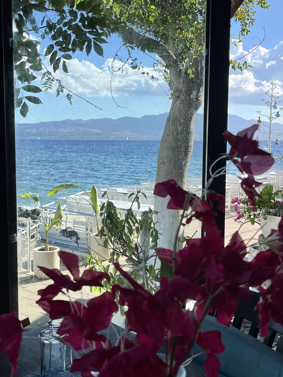 sadebdrm's tweet photo. #yalıkavak #gümüşlük #turgutreis #bodrum 💙🤍 en güzel hali ♥️ https://t.co/1w3GgpFj4k