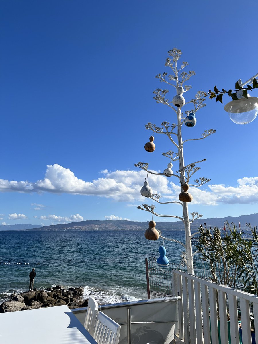 sadebdrm's tweet photo. #yalıkavak #gümüşlük #turgutreis #bodrum 💙🤍 en güzel hali ♥️ https://t.co/1w3GgpFj4k
