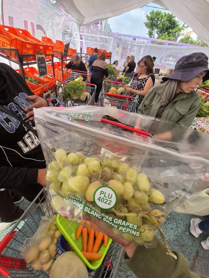 CAMPO A LA CIUDAD.. <a href="/ClaraBrugadaM/">Clara Brugada Molina</a> <a href="/FadlalaAkabani/">Fadlala Akabani</a> <a href="/craviotocesar/">César Cravioto</a> <a href="/GobCDMX/">Gobierno de la Ciudad de México</a> <a href="/GobiernoMX/">Gobierno de México</a> lamentamos ☹️ esta competencia desleal!! <a href="/alexperezcorzo/">Alejandro Pérez Corzo</a> <a href="/BuzosNoticias/">Buzos de la Noticia</a> <a href="/EvidenciaLa/">La Evidencia News</a> <a href="/adnnoticiasmx/">adn Noticias</a> <a href="/VECINODEGAM/">El Juan De la GAM🇲🇽</a> <a href="/JMRivaPalacio/">Mariano Riva Palacio</a> <a href="/OSCAREYES78/">OSCAR REYES</a> <a href="/royfid/">Roy Torres</a> <a href="/rockdriguezleo/">Leo</a>