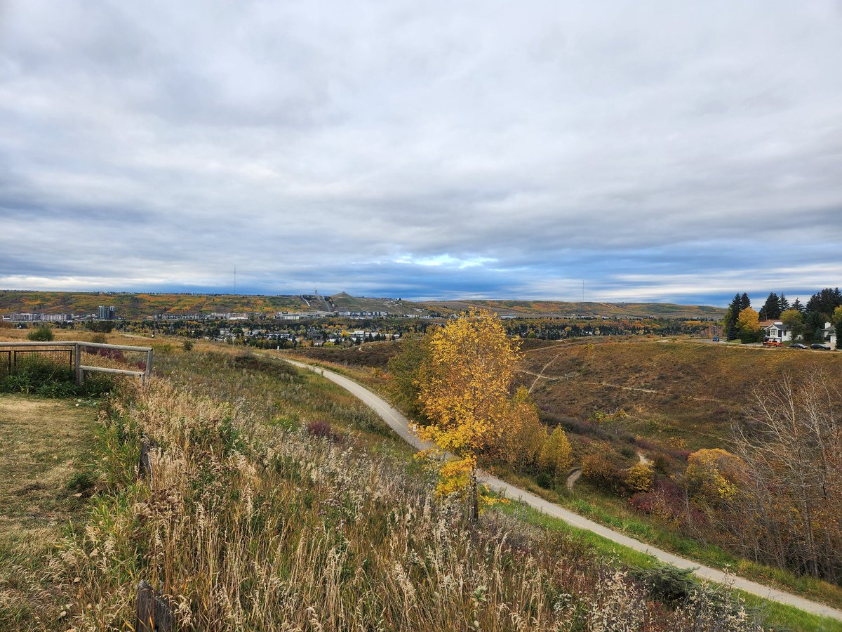 ser_wc's tweet image. There is still time to join SER WC on our field trips here in Calgary, Ab! Meet at the Bowmont slopes parking lot for 9:30am MST to join our field trip and tour of a Restoration Site, followed by Dale Hodges around 11!
#restore #Restoration #conservation #cycle #fieldtrip #tour