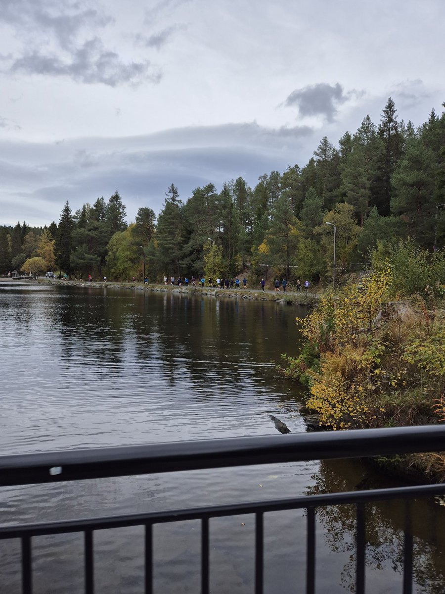 Trondheim skogsmaraton (10km) complete, now time to keep balance in my life 10km = 10 pints in the pub.