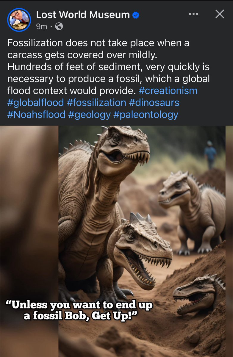 NotEvolution1's tweet image. Fossils are from the biblical flood