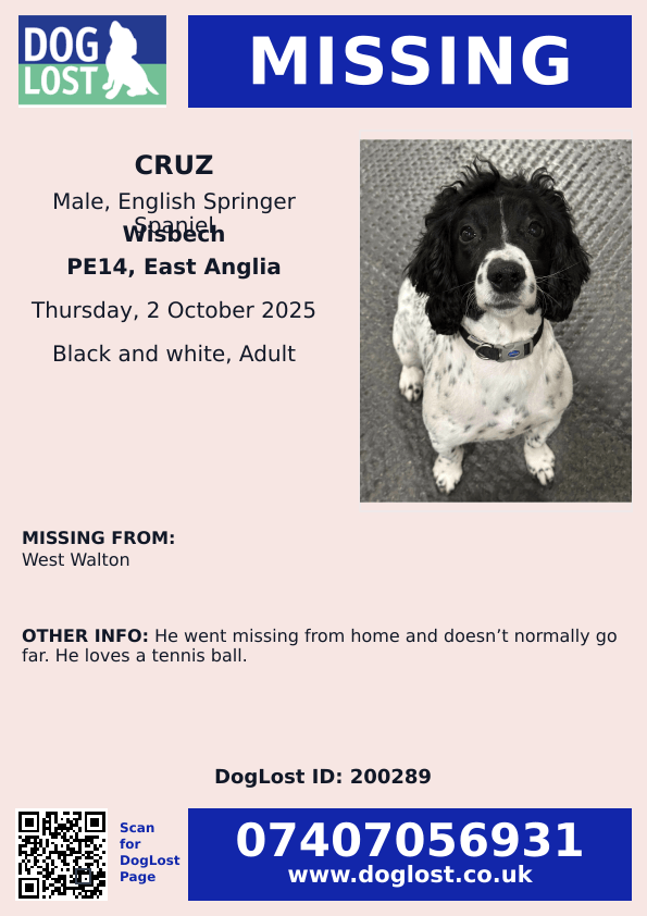 MissingPetsGB's tweet image. 🐕 CRUZ #missing from West Walton #Wisbech #Norfolk #PE14 since 2 Oct 2025

He went missing from home when a gate was left open and two dogs got out when let out for toilet. The other one was found at neighbours but Cruz has not been seen or found.