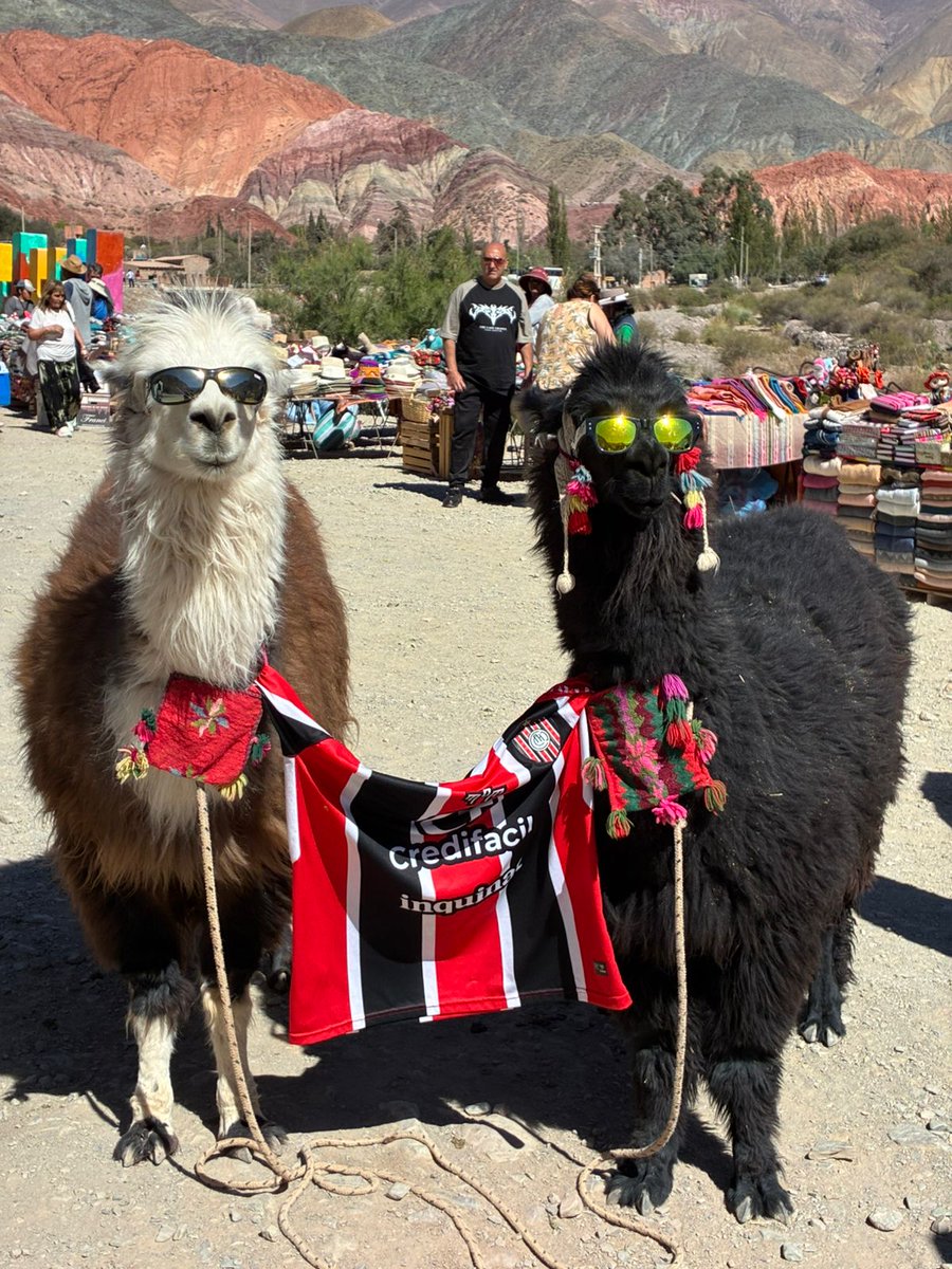 lautiimuino's tweet photo. SE VIENE EL #Jujuyazo FUNEBRERO 🇾🇪🤠 https://t.co/Cr7NL3BXJU