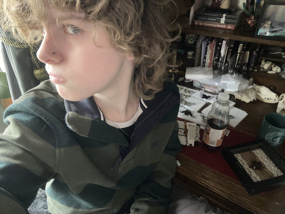S0CKS ⋆ ✮ ⋆ 𐂂 🍁🪲 tweet media