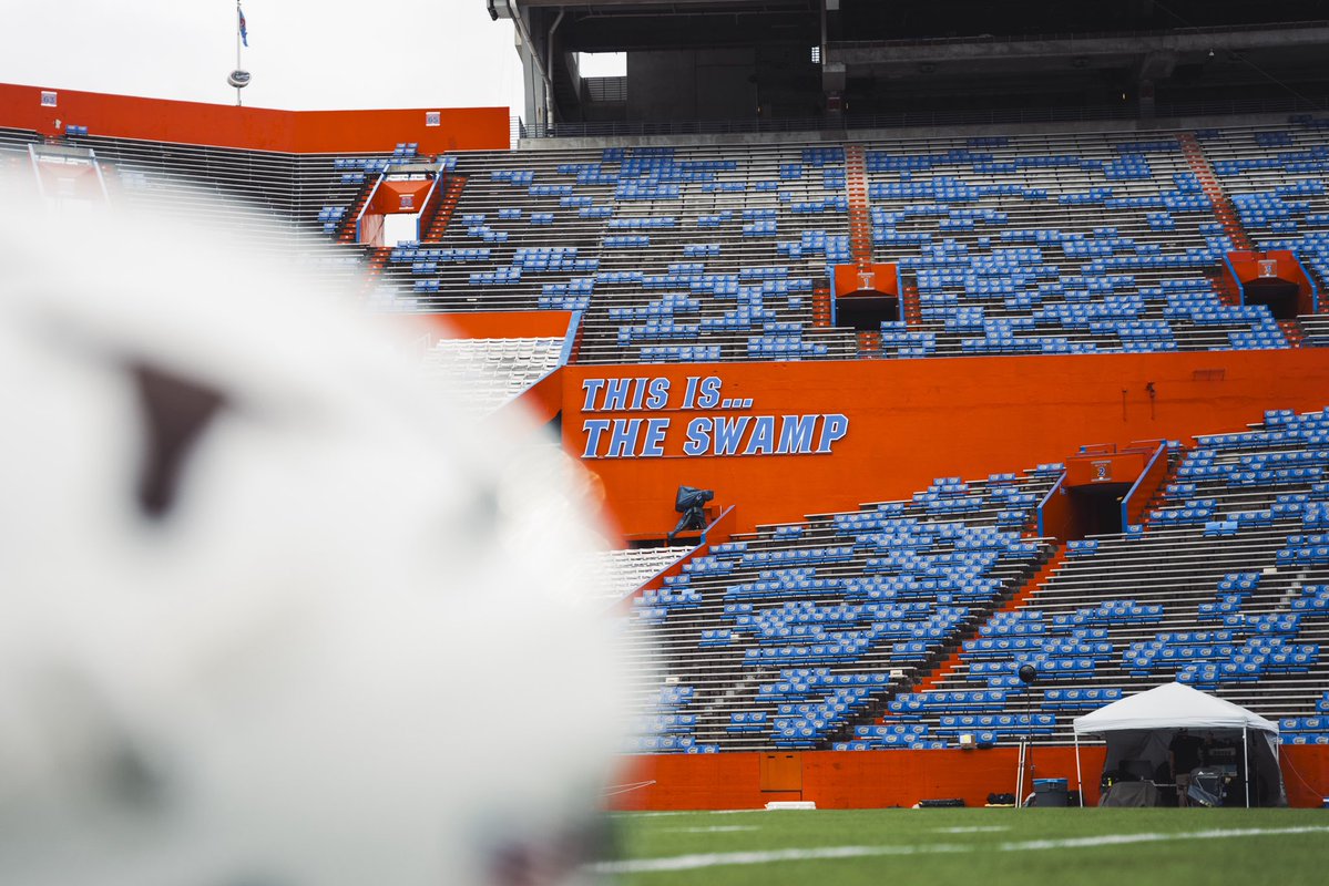 Scenes in The Swamp 🤘