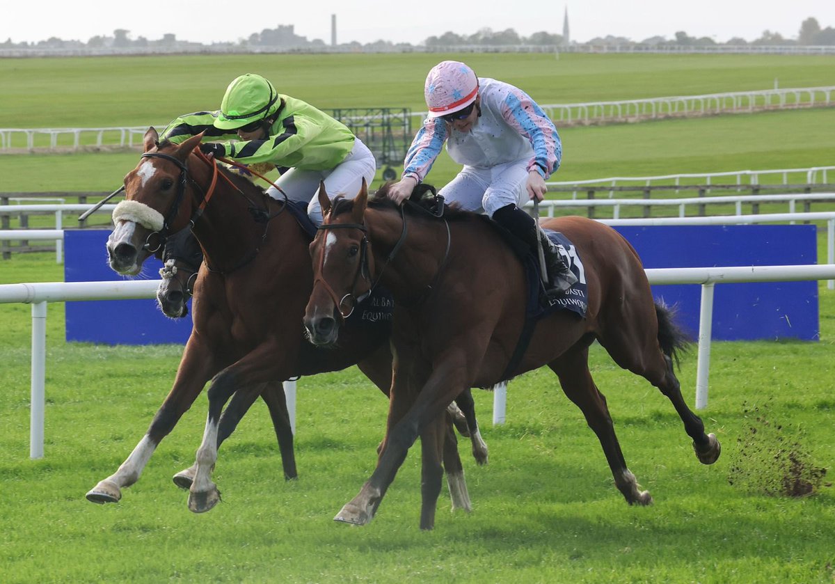 The Curragh Racecourse tweet media