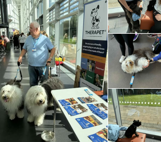 In North Lanarkshire It was 𝐍𝐞𝐰 𝐂𝐨𝐥𝐥𝐞𝐠𝐞 𝐋𝐚𝐧𝐚𝐫𝐤𝐬𝐡𝐢𝐫𝐞 𝐌𝐨𝐭𝐡𝐞𝐫𝐰𝐞𝐥𝐥 𝐂𝐚𝐦𝐩𝐮𝐬 turn 4 a visit with 𝐓𝐡𝐞𝐫𝐚𝐩𝐞𝐭𝐬 𝐓𝐢𝐚, 𝐙𝐚𝐜 &amp; 𝐁𝐞𝐭𝐲 for some doggie boosting power..🐾🎓🐾
<a href="/NESCollege/">North East Scotland College</a> <a href="/TherapetC/">@Therapet-CCST</a> <a href="/CanineConcern/">CanineConcernTrust</a>  <a href="/burnspetfood/">Burns Pet Nutrition</a> <a href="/EducationScot/">Education Scotland</a>