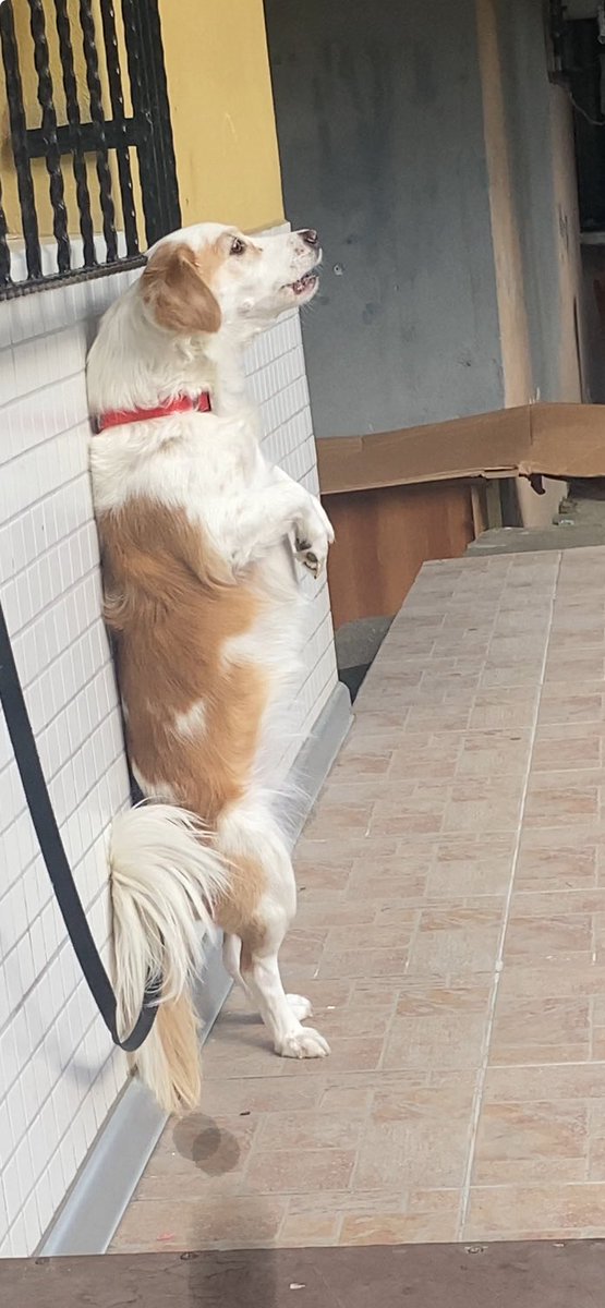 <a href="/muhendisyenn/">mühendisyen</a>