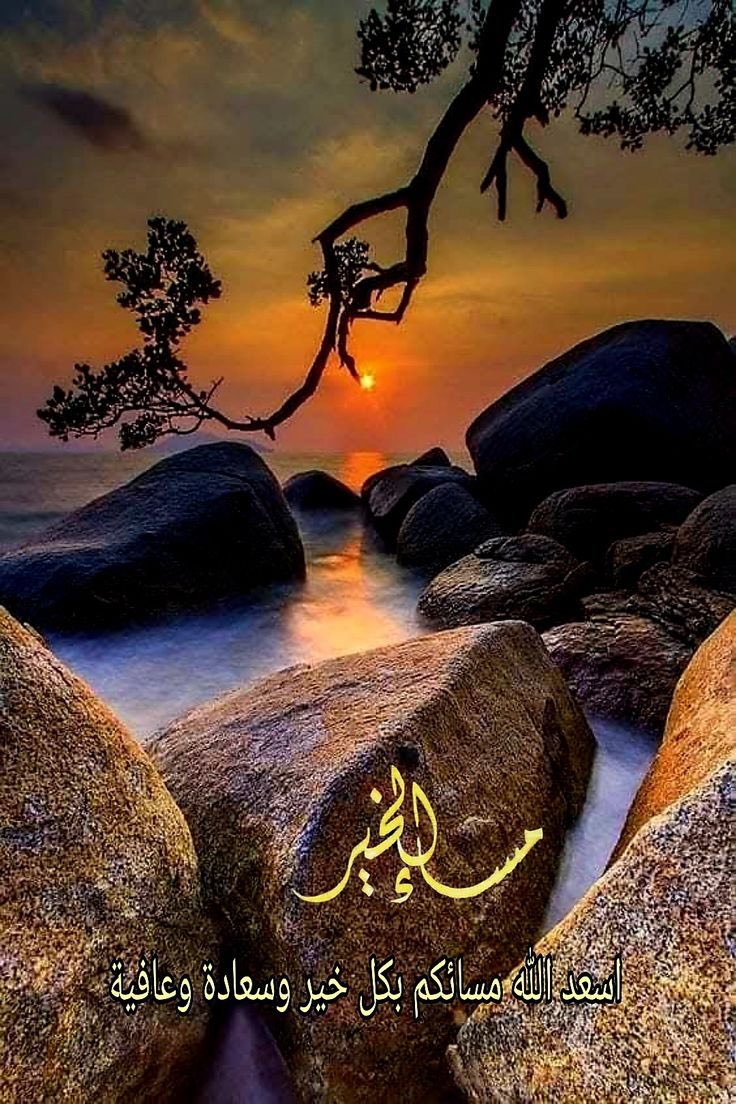 shams8977's tweet photo. أجمل ما يمكن أن تهديه في حياتك هو العفو عن عدوك، والصبر على خصمك، والقدوة الحسنة لطفلك، والإحسان لوالديك، والاحترام لنفسك والأفضل على الإطلاق هو الإخلاص لكل هذا. https://t.co/MYKsbQA6V6
