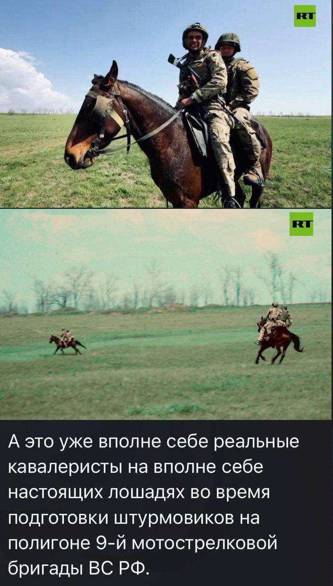 At geldiğine göre yakında Ok ve Yay kilidi açılır.

Cephe arkasında lojistik için at kullanılıyordu. Şimdi mayınlı arazilerden geçişleri sağlamak için kullanacaklarmış.

WW2 Tayfa danışmaya bekleniyor...