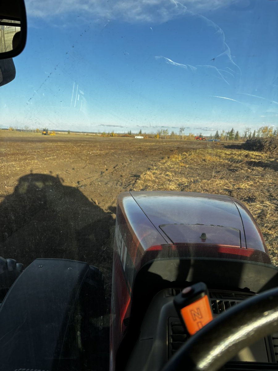 Cleaning up a bit of land.