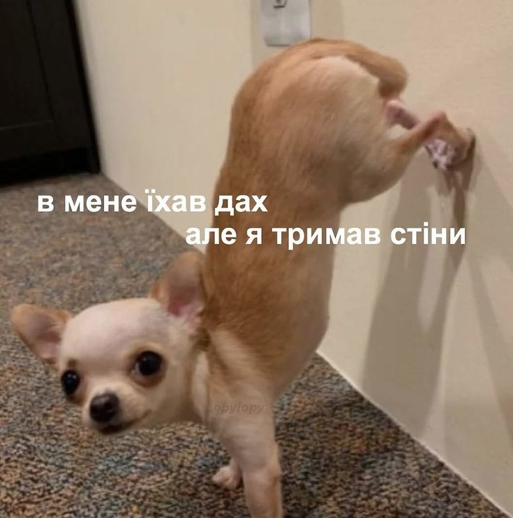 Царство небесне цьому акаунту.
Мій останній твіт за 13 січня 🤝🏻. Ну я, що можу сказати?