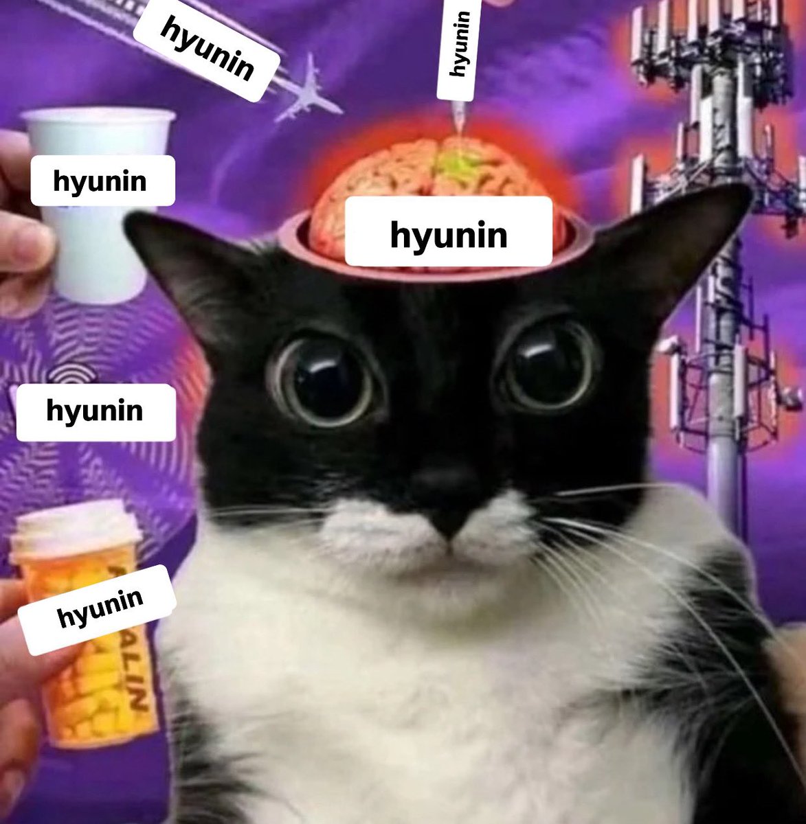 𝜗ৎ ‎ ‎ emi ‘ quiero mutis stays, help (@denmjeon) on Twitter photo 