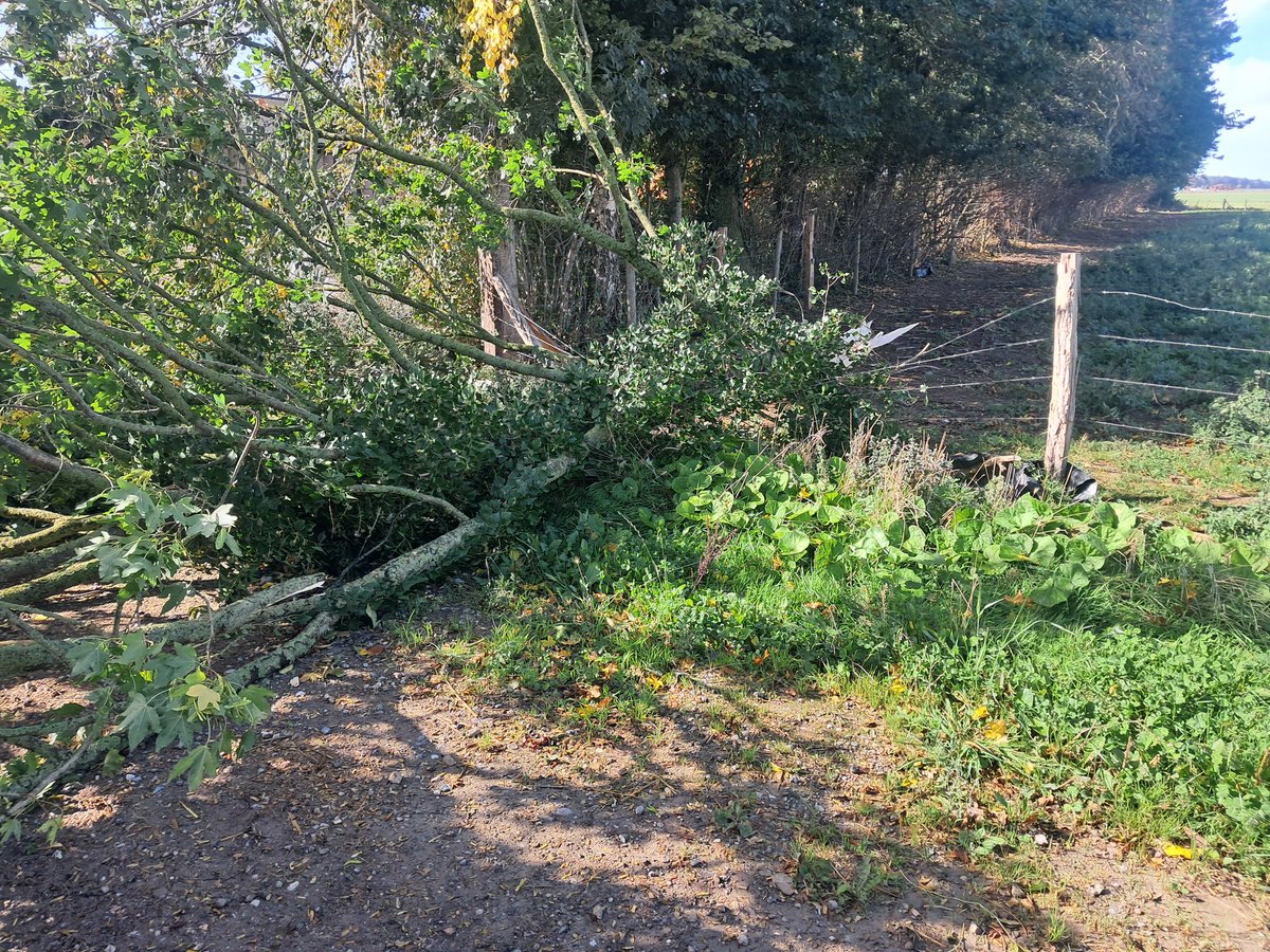 Ça souffle fort ! 
Heureusement que les vaches laitières ne sont pas sorties aujourd'hui, sinon elles seraient toutes en train de courir sur la Départementale à cette heure ci !
#FrAgTw