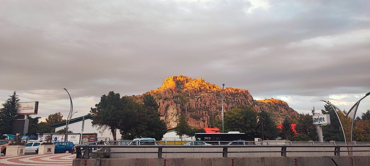 halil ibrahim özcan tweet media