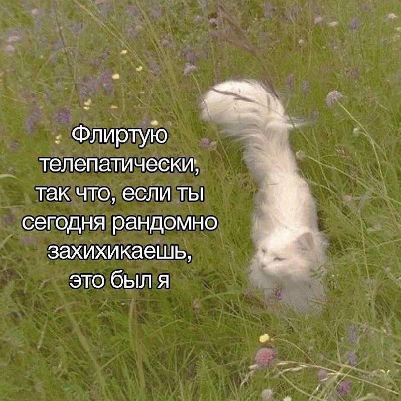 catsilcats's tweet photo. https://t.co/OS2LD2VSuT