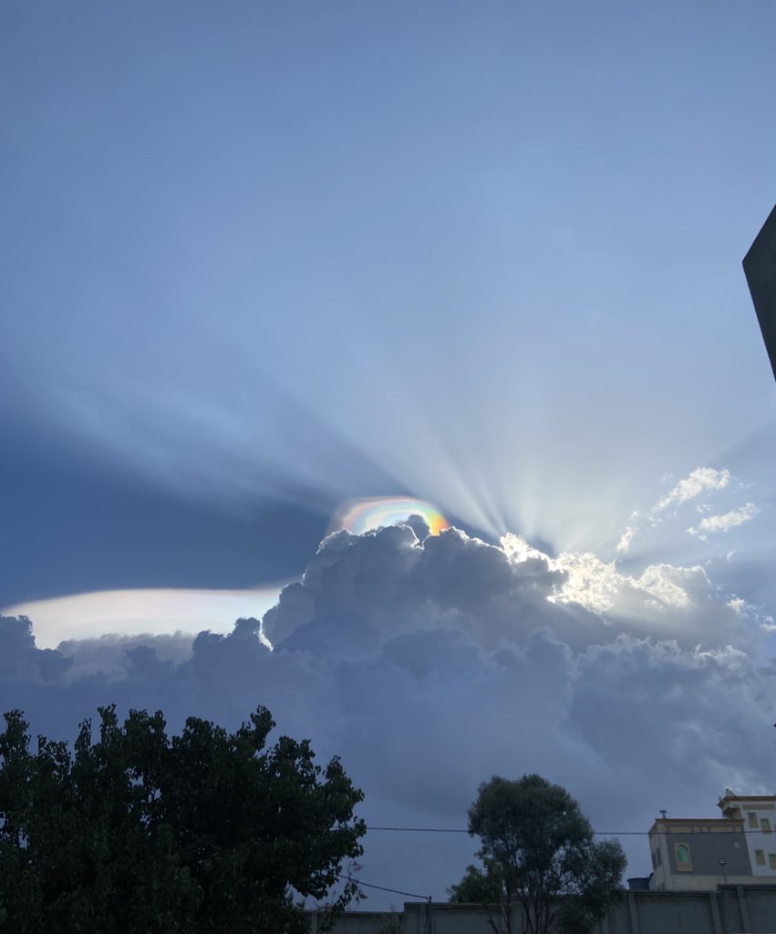 حسام tweet media