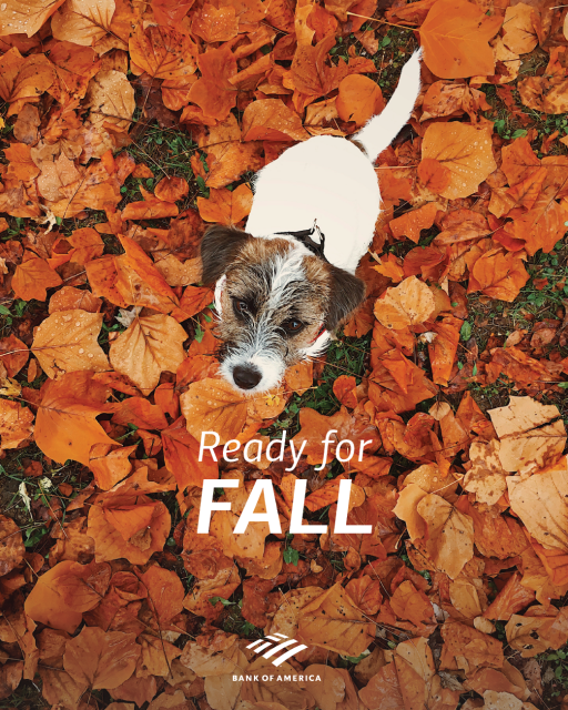 As summer cools off and the holidays approach, it’s time to welcome the wonderful fall season! Fall is perfect for admiring the changing leaves, spending time with loved ones and embracing the holiday spirit. What are you most excited for this fall?