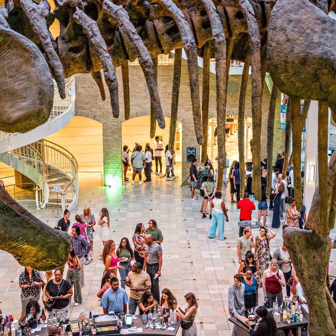 cl_atlanta's tweet photo. Experience Sunken Treasures, Ancient Seas! Adults 21+ can see this immersive exhibit that unveils the hidden #treasures of the Italian coast at Fernbank After Dark: Wicked Science on 10/10 &amp; spooktacular #Halloween party, Fright Night on 10/31
Tickets at https://t.co/Zw8ATUgn1U https://t.co/wBCDfuj7f2