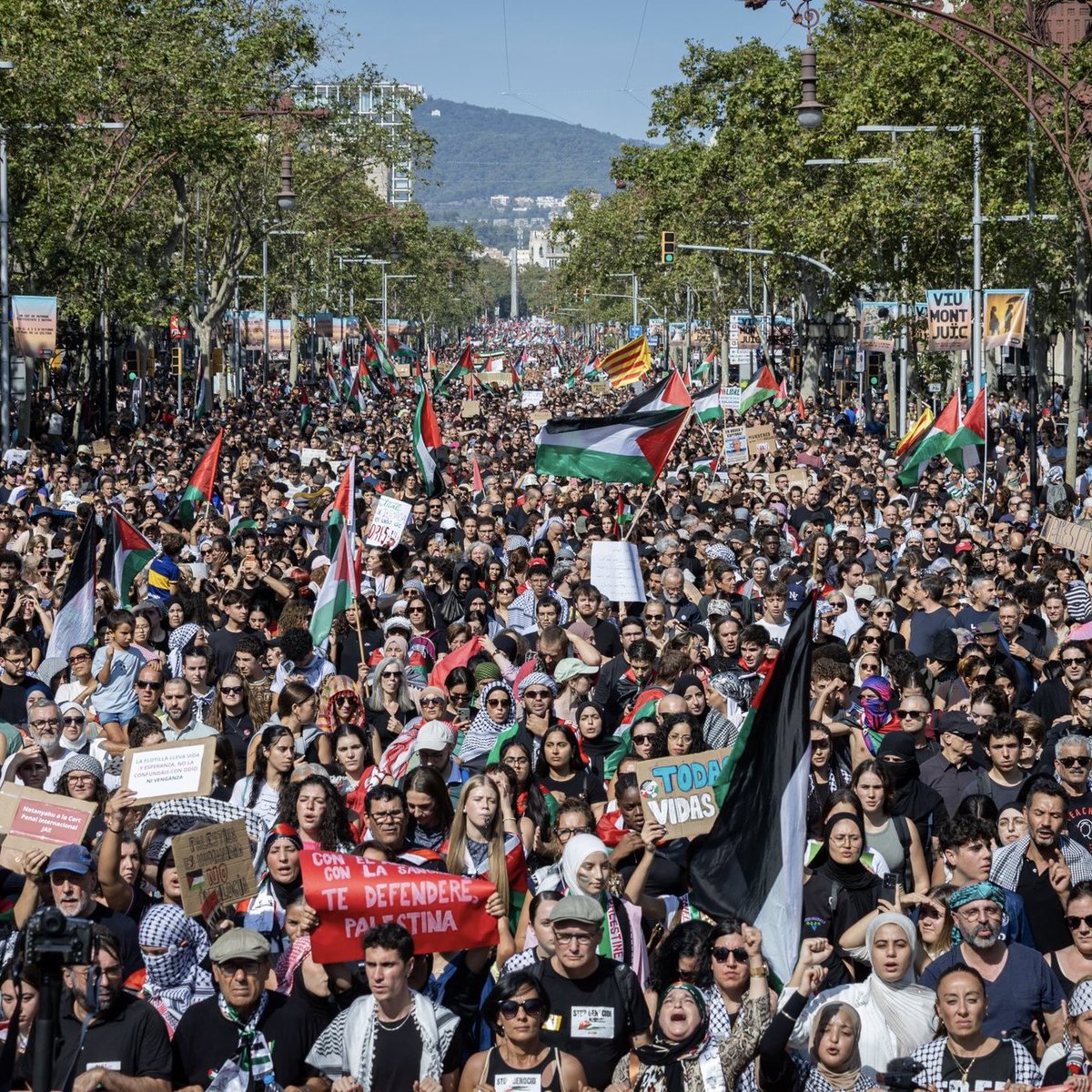Avui #Barcelona és un clam de solidaritat amb el poble palestí. Des de #Castelldefels sortim al carrer per reclamar una Palestina Lliure i la fi d’aquesta barbàrie!

#noésunaguerra #ésungenocidi 
#freepalestine🇵🇸🇵🇸🇵🇸