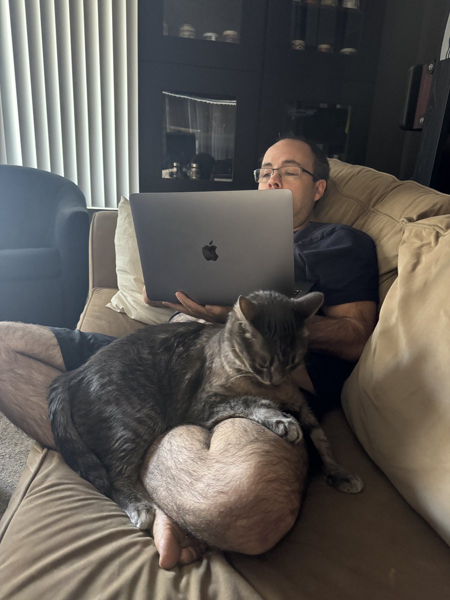A working #Caturday