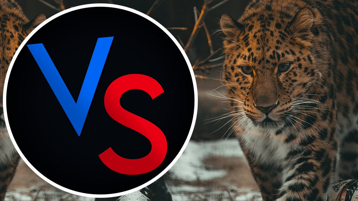 v Sniper tweet media