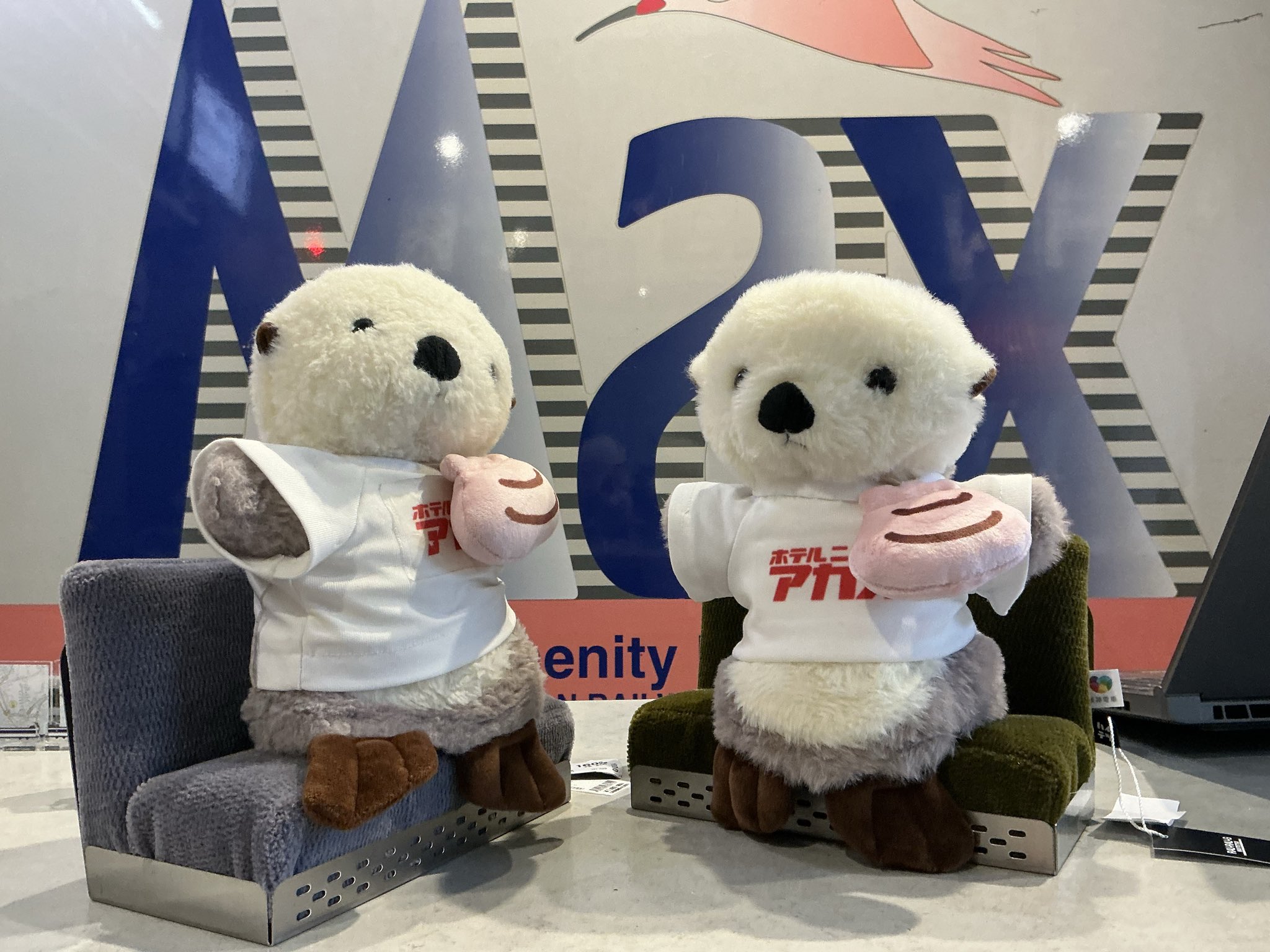 りらっくまい on X: 