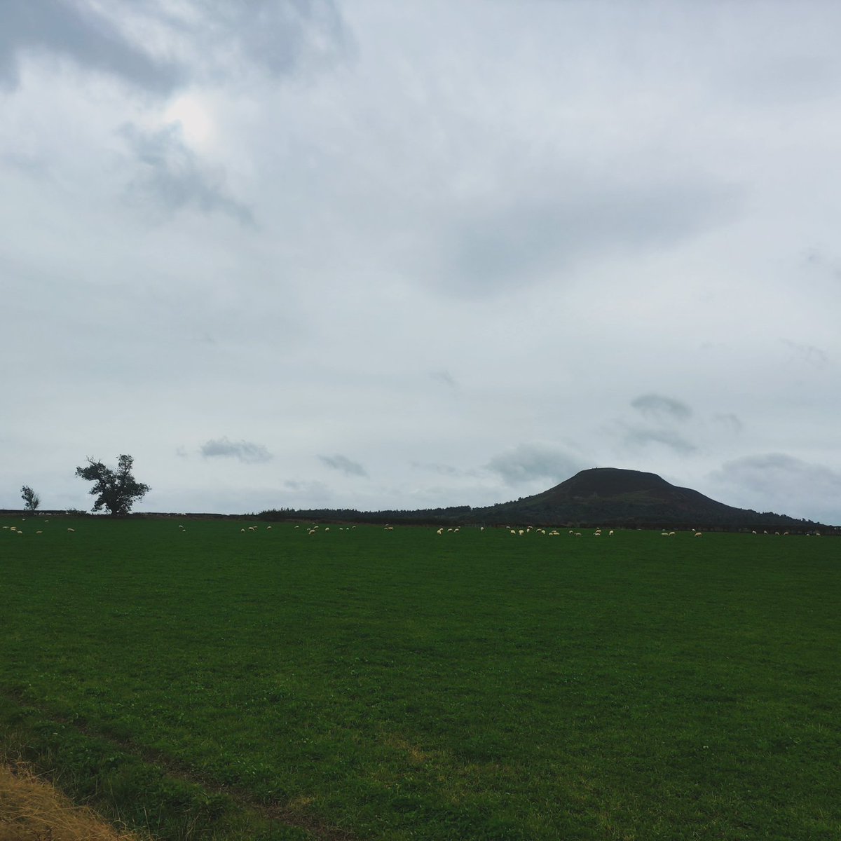 blonde_on_bikes's tweet image. Very blustery afternoon out on the Trimontium walk #melrose #newdstead #Trimontium #scottishborders #StormAmy  #leaderfootviaduct