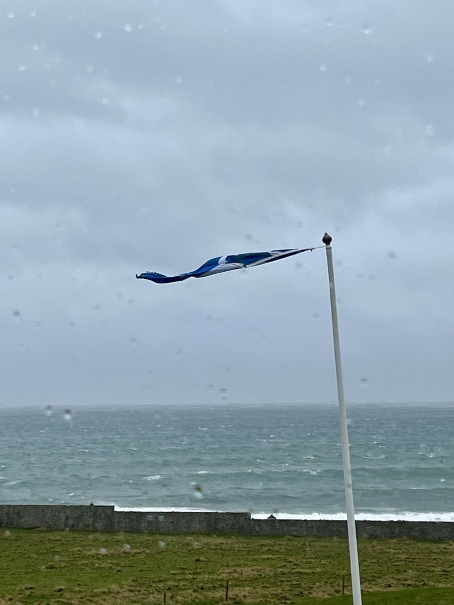 Jacquie Bridges tweet media