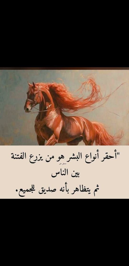 #السعوديه #مصر 
#معلم_مصري_يسب_السعودية