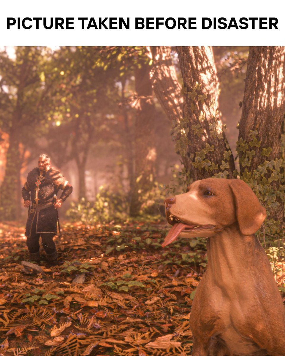 Today's World Animal Day let me reopen a wound you thought had healed 🙏