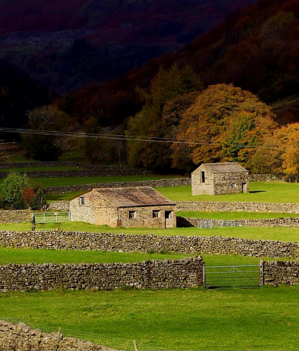 Swaledale 🍁