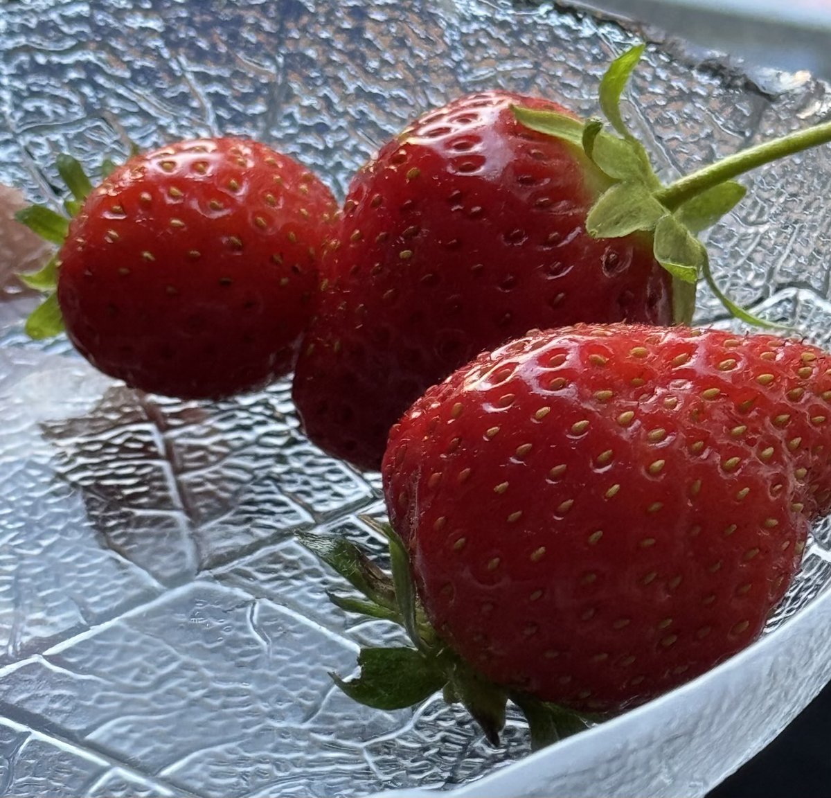 PredatorJr's tweet image. So n bissl anders als sonst dieser #Herbst und #Oktober