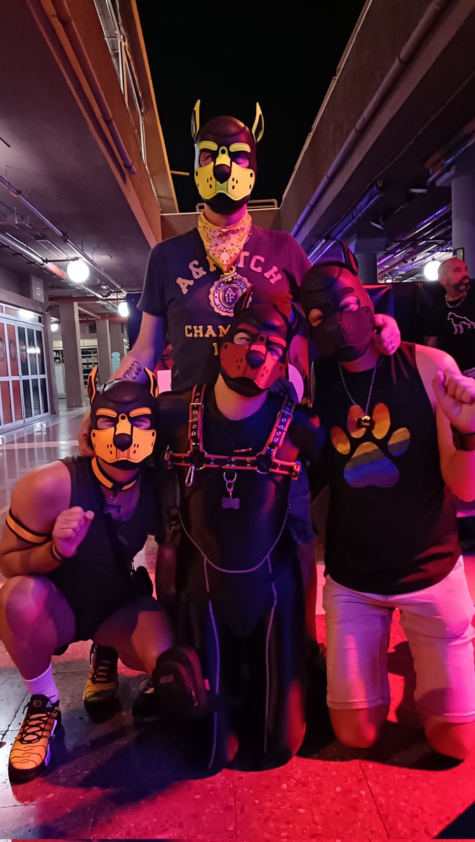 Dutchguy1979's tweet photo. About last night

#maspalomasfetishweek
#puppy https://t.co/6xa11GU5RH